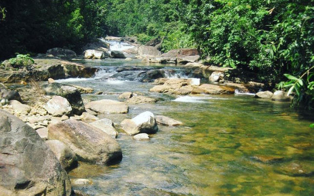 Clear water flowing in the river, showing rocks and pebbles beneath the surface