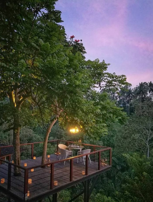 Elevated dining area in the resort, overlooking the forest and surrounded by trees