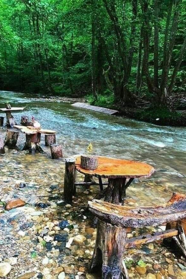 Outdoor dining setup by the river, surrounded by trees and nature