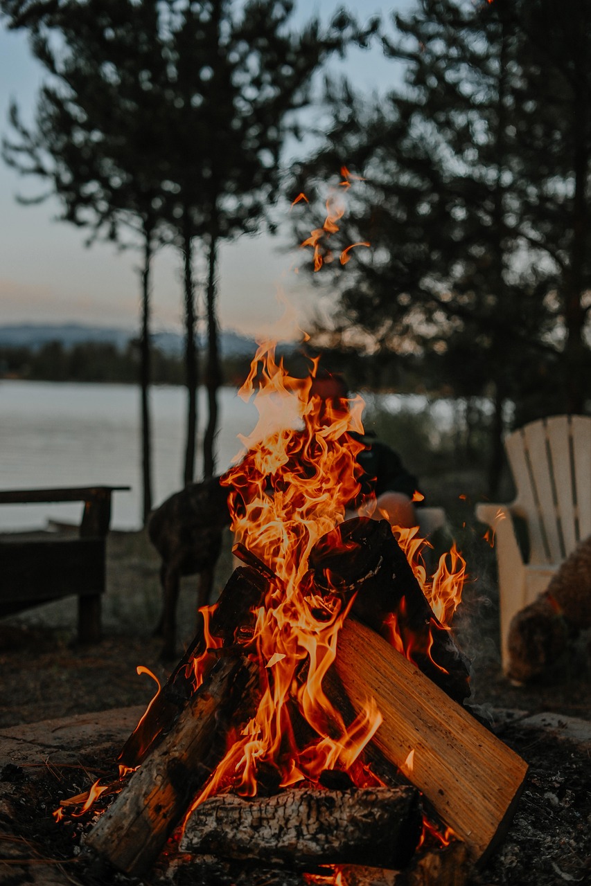 bonfire, campfire, lake, night, nature, evening