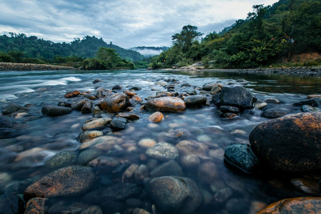 A scenic view of a mountain river with flowing water and rocks in a lush green forest.