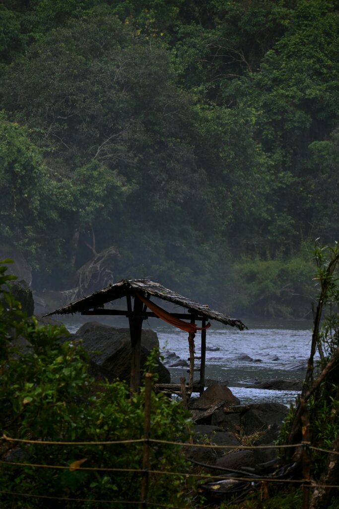 Cozy hut by a serene river surrounded by dense forest in Kochi, India. Perfect nature escape.