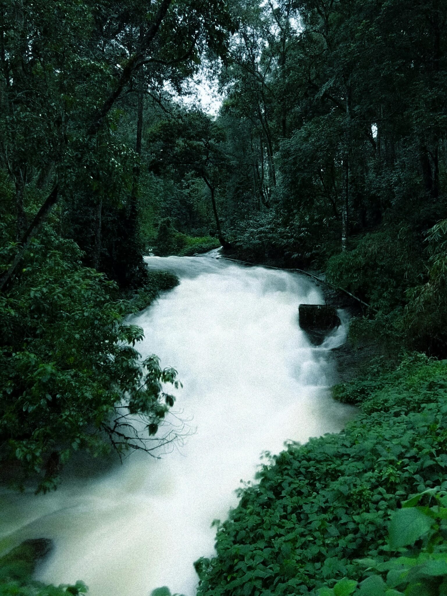 Experience the tranquil beauty of a cascading waterfall surrounded by lush greenery in Munnar, India.