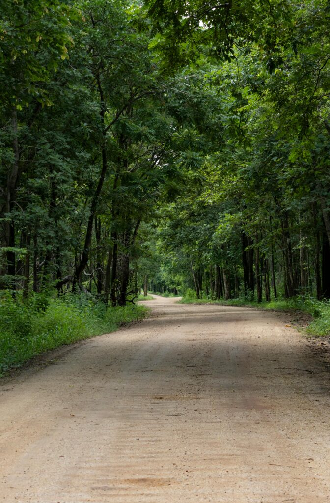 eco resort in munnar