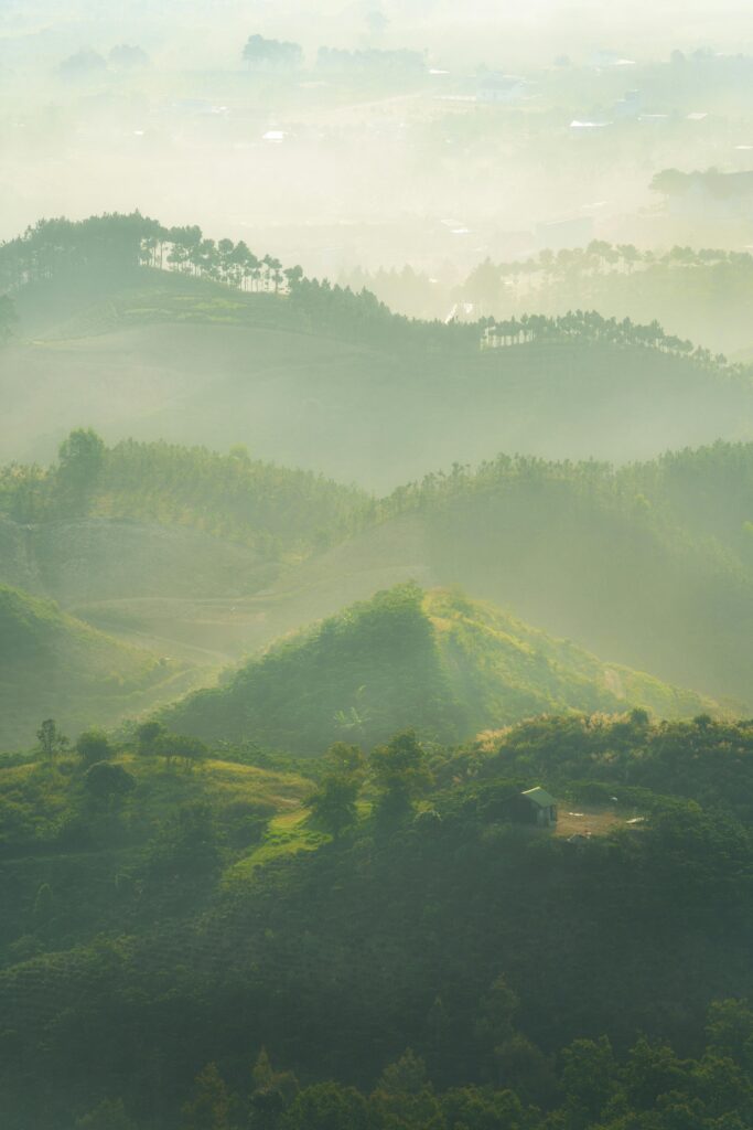 Captivating misty mountain view with lush greenery and soft sunlight rays.
