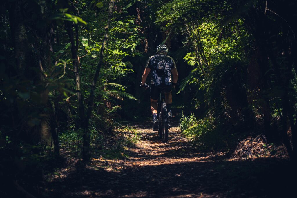 A cyclist enjoys a peaceful ride through a dense forest trail in New Zealand, surrounded by lush greenery.